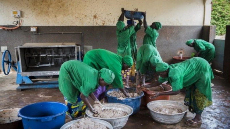 Burkina Faso: USADF is Nuts for World Food Day!