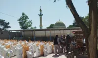 The Kabul TImes: Improved Seeds Donation Helps Develop Agriculture in Afghanistan