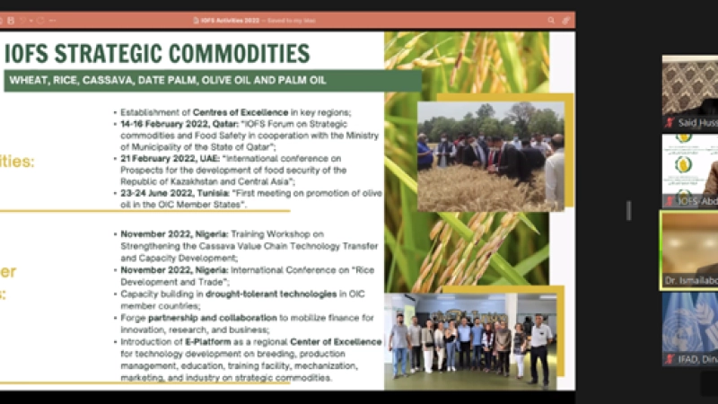 IOFS AND IFAD AGREE TO ESTABLISH A JOINT TASK FORCE FOR STRENGHTENING BILATERAL COOPERATION