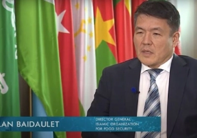 Baidaulet: Egypt, Kazakhstan attain progress 2026