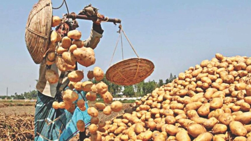 5.2CR PEOPLE FOOD INSECURE IN BANGLADESH