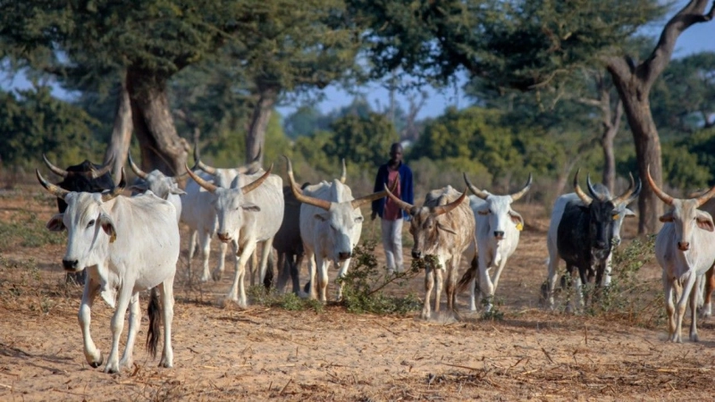 Food safety lab grants $2.9M for new global projects