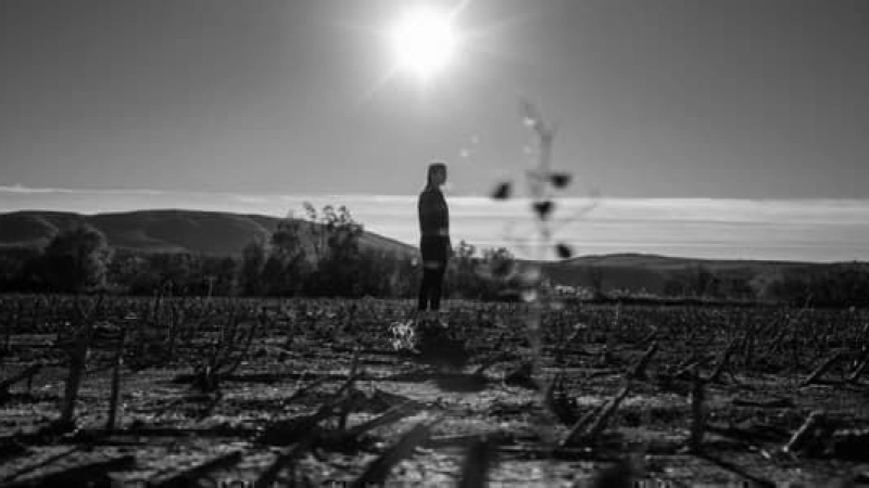 IRANIAN FOOD CONSUMPTION PLUMMETS AS PRICES SOAR