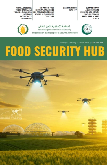 FOOD SECURITY HUB №18