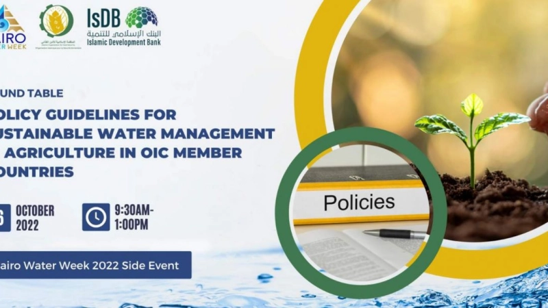 IOFS Cairo Week Side Event Announcement