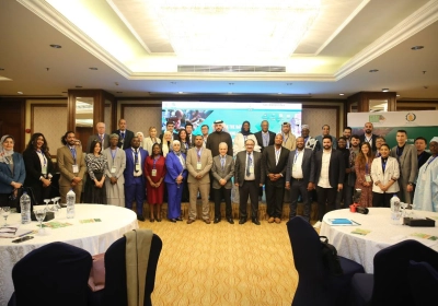 الخدمات المصرفية الغذائية في محور التدريب في القاهرة