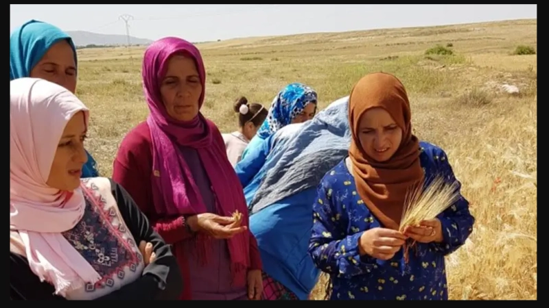 WOMEN FARMERS ARE KEY TO DRIVING TECHNOLOGY ADOPTION