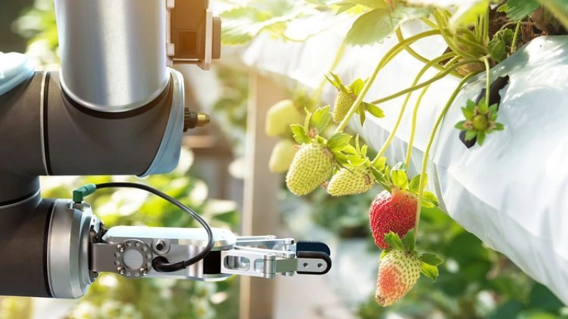 Food for Future Summit & Expo to debut at Expo 2020 Dubai