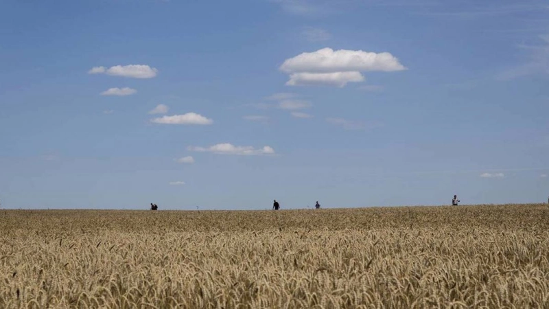 Fixing Our Failing Food Systems