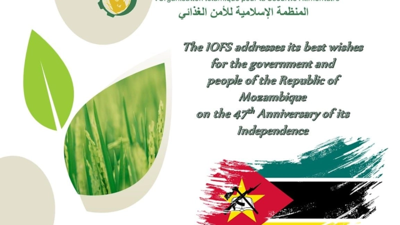 Mozambique Independence Day