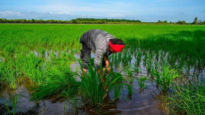 Transition to sustainable agriculture crucial