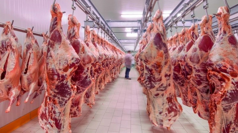  Newswrap: Halal industry