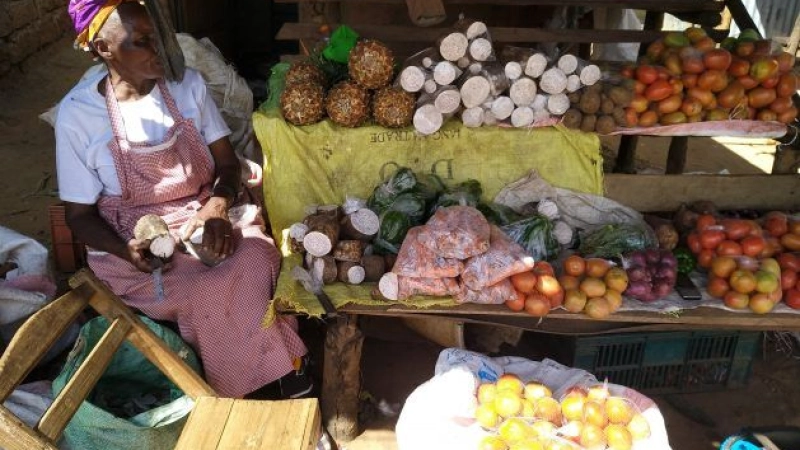 Are Women-led Startups Key to Sustainability in Senegal?