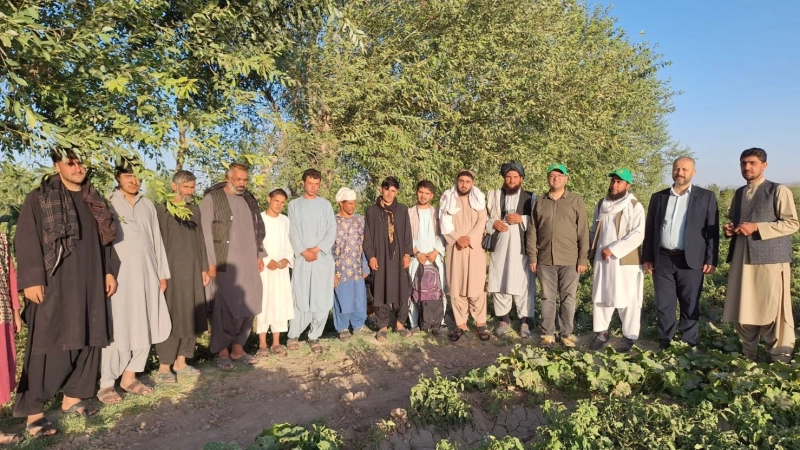 المنظمة الإسلامية للأمن الغذائي تستكشف الفرص الزراعية في غرب أفغانستان