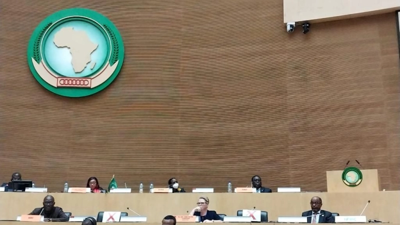 Mr. Said Hussain lid delivered a speech at a High-level Food Security and Nutrition Conference at the AU Headquarters