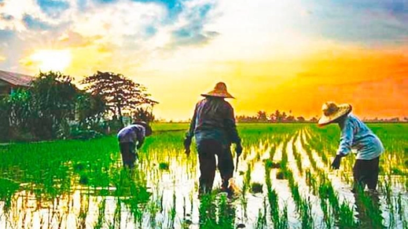 More young agropreneurs needed as agriculture industry evolves