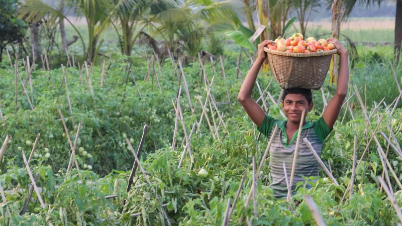Equitable distribution is needed to ensure food security in country