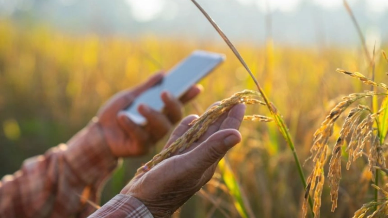 Transforming Asia's food system to tackle our food and climate crises