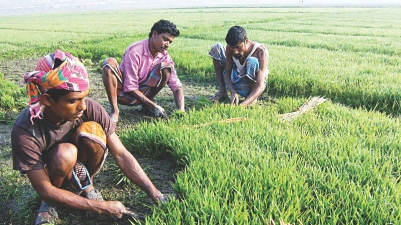 Ensuring food security for all