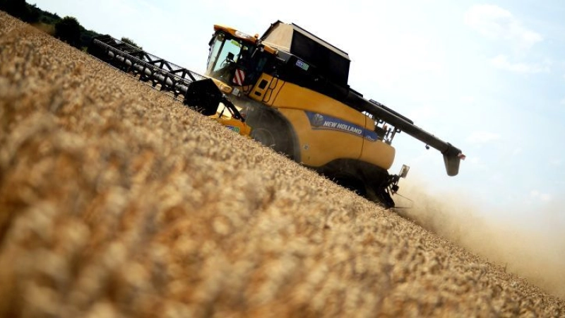 مصر تحصل على 100 مليون دولار لاستيراد المواد الغذائية