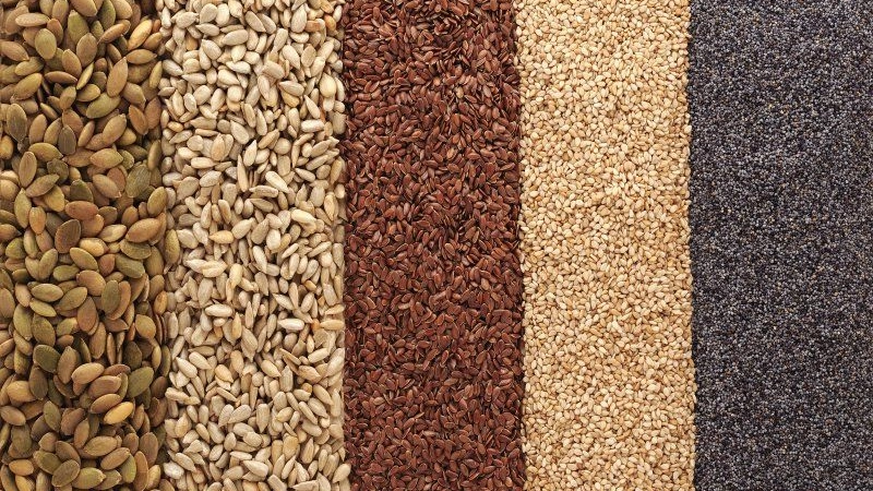 Acquisition, Conservation, Exchange, and Safety Duplication of Plant Genetic Resources in OIC Member Countries – AFRICA Chapter