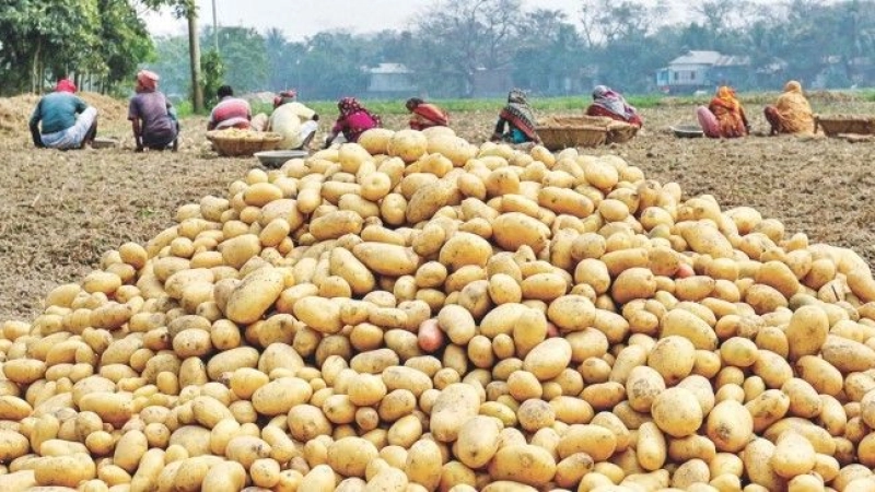 Food security deteriorated in Bangladesh: FAO