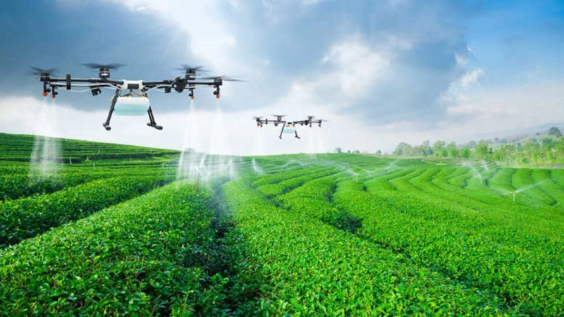 UAE developing algorithm to help food sector predict global warming impact