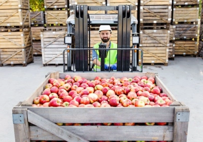 IOFS ICIC Partnership for Afghanistan Emergency Food Support