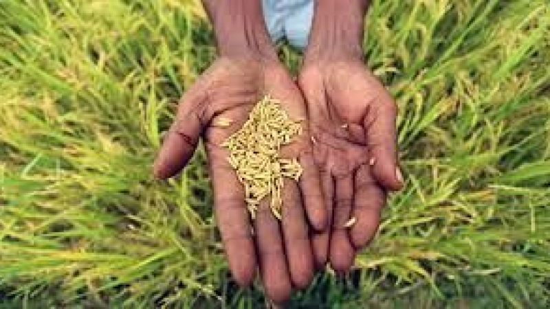 The way how Islam Addresses Challenges of Sustainable Food Security