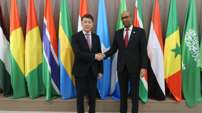 IOFS Director General receives Ambassador of the Federal Republic of Somalia to the Republic of Turkiye and the Republic Kazakhstan