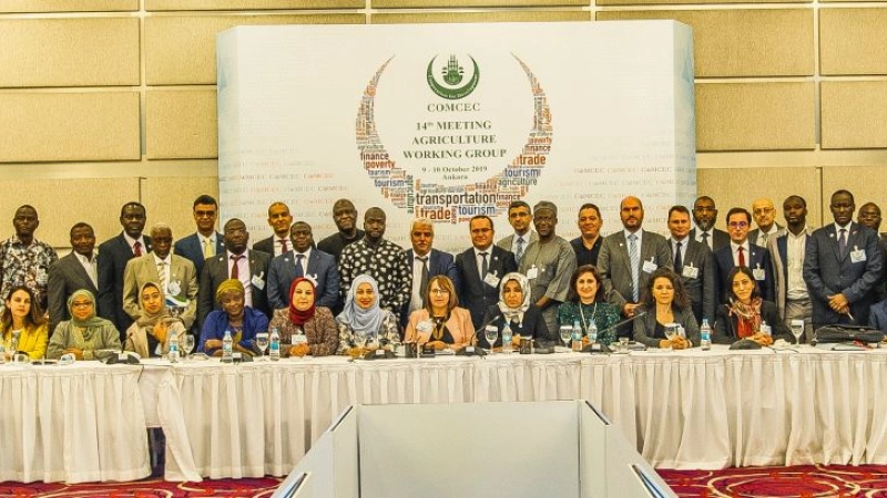 IOFS explores greater partnership with COMCEC for its flagship programmes