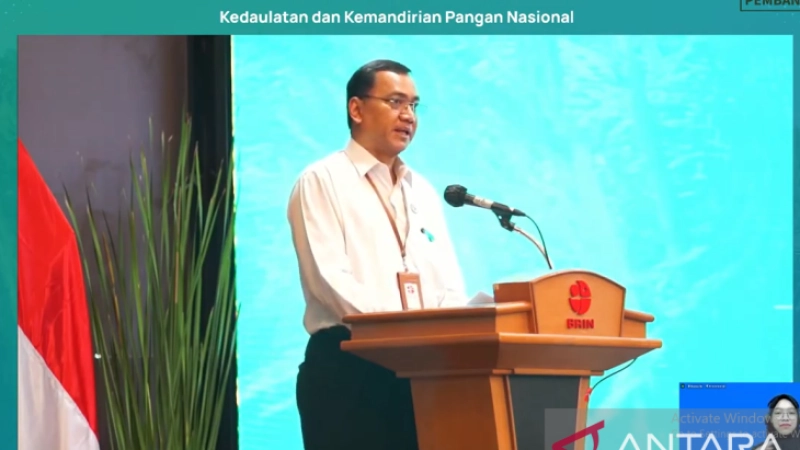 Need to improve local food development to anticipate crisis: BRIN