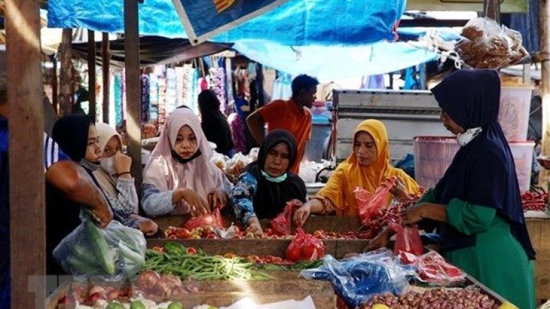 INDONESIA TO SPEND OVER 6 BILLION USD TO ENSURE FOOD SECURITY IN 2023
