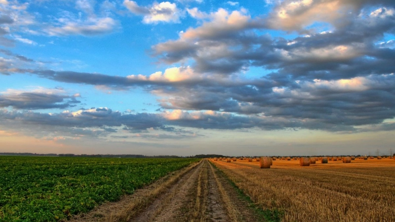 Future of farm economy
