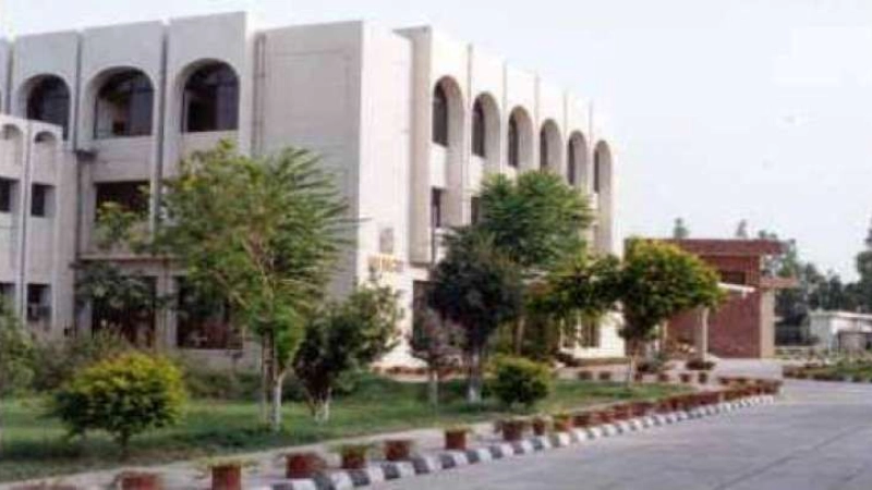 مشروع الكومستيك حول الأمن الغذائي بتمويل الكومسيك