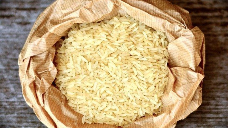 Rice cultivation is becoming loss-making business for Bangladesh farmers