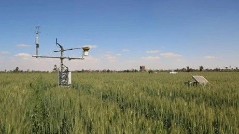 COLLABORATION IMPROVES WATER PRODUCTIVITY IN EGYPT