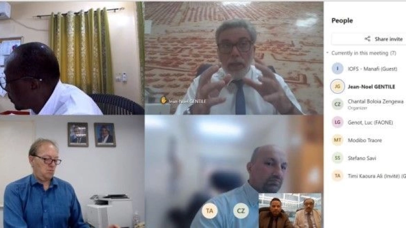 المشاورات بين المنظمة الإسلامية للأمن الغذائي ووكالات الأمم المتحدة المعنية بالأمن الغذائي في النيجر
