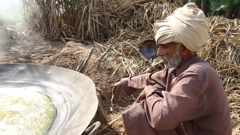 Pakistan assists the poorest segments of its population during the pandemic