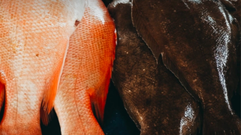 الأمن الغذائي بعد كوفيد 19 : البقاء طافيا في إندونيسيا