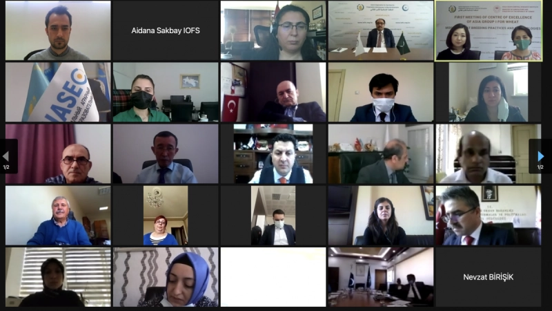 Turkey hosts the first virtual meeting of  Centre of Excellence for Asia Group I for Wheat
