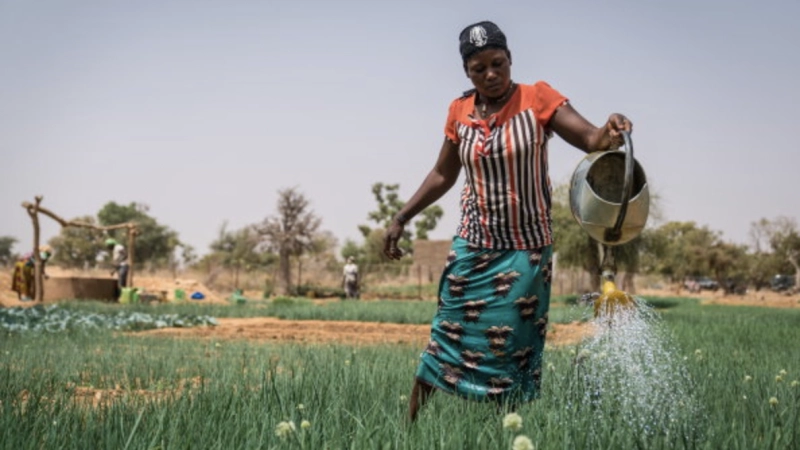 The EU and WFP partner to improve nutrition in the Central Sahel by strengthening local food systems