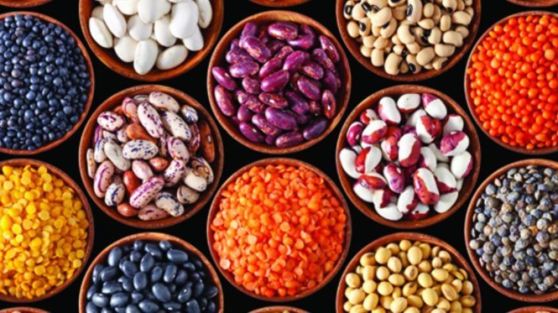 من المقرر عقد ورشة عمل افتراضية حول