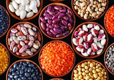 من المقرر عقد ورشة عمل افتراضية حول 