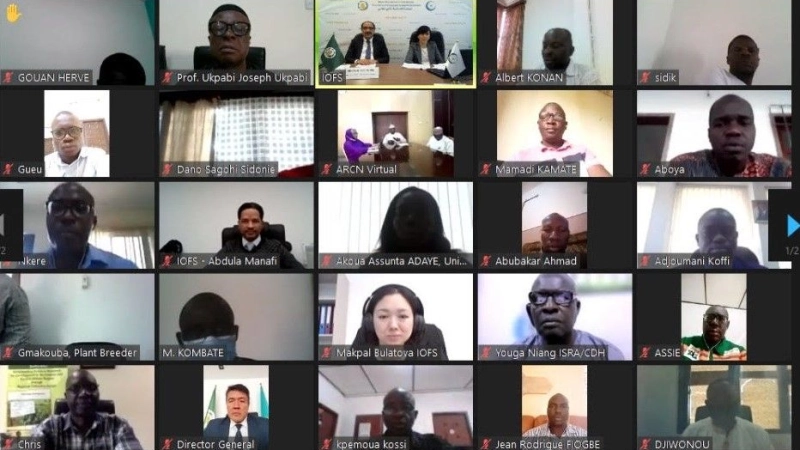 The first meeting of Center of Excellence for Cassava 