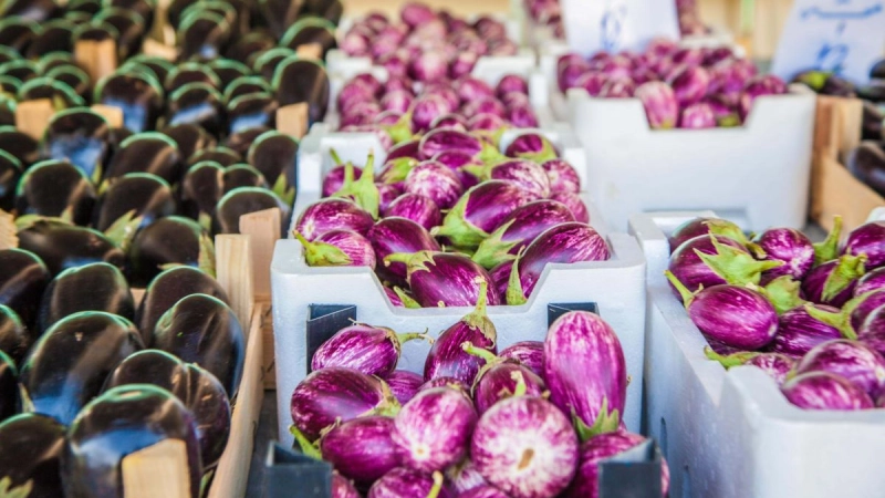 How self-sufficient is Qatar in its food supply?