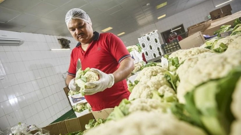 INNOVATIVE FOOD SYSTEMS KEY TO TACKLING GLOBAL FOOD CRISIS, SAY EXPERTS