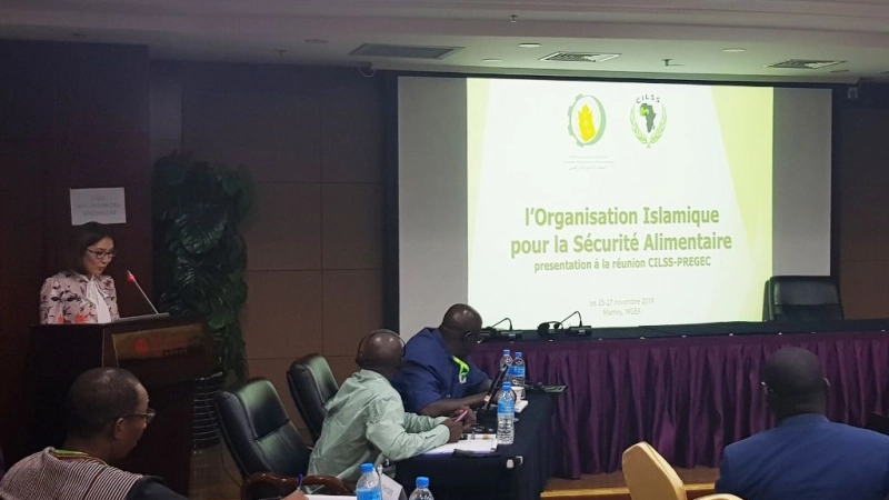 IOFS establishes collaborative relationship with Sahel and West Africa