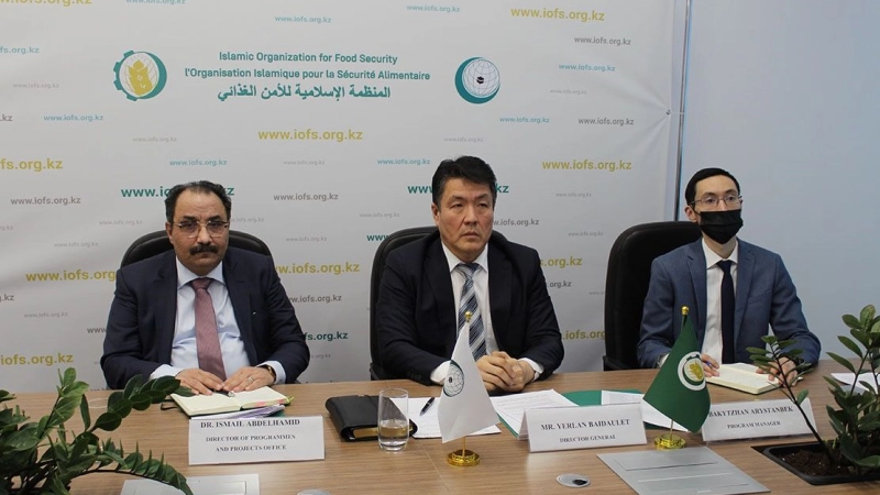 IOFS discusses its participation in World Food Systems Summit in 2021 with the United Nations