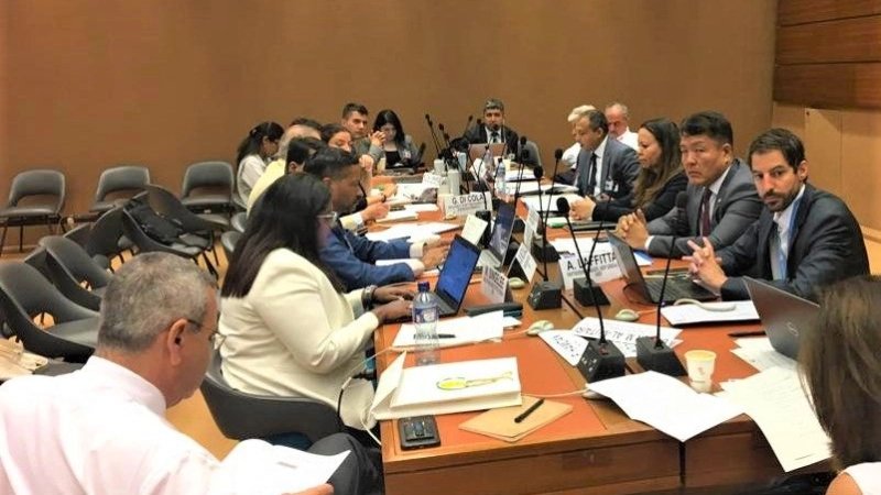 IOFS HIGHLIGHTS CENTRALITY OF FOOD SECURITY AT WORKING GROUP OF THE UN-OIC GENERAL MEETING ON COOPERATION